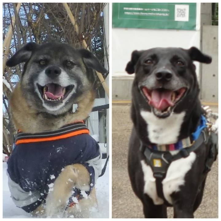 A73074a1 355a 4a1e b802 4b95a2c89e70 1662078236258