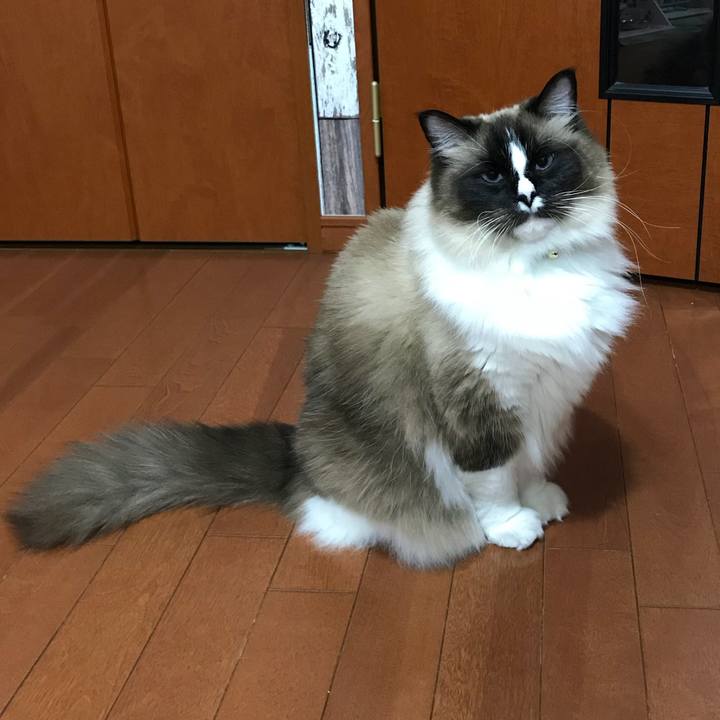 A7307555 7a72 41ad a4a8 5bd5707eb973 1520547965283