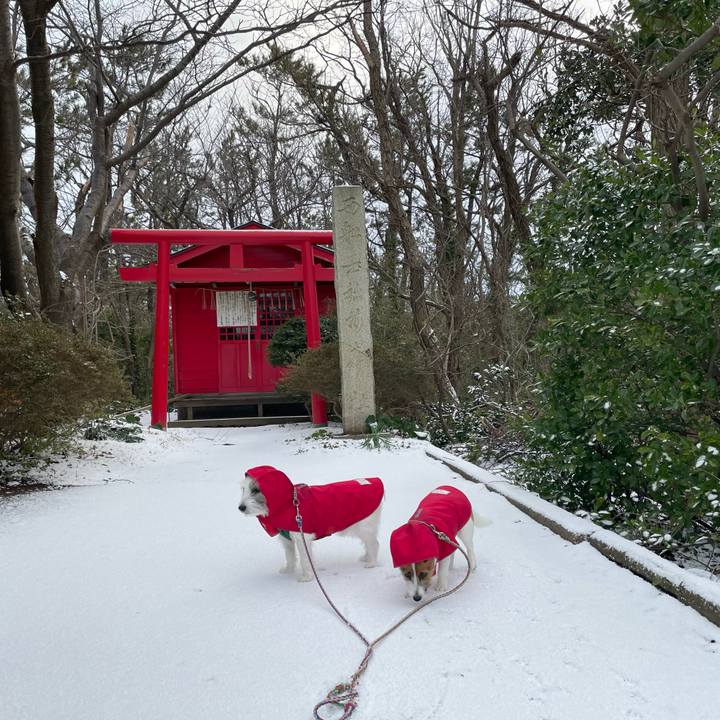 A730a0db 5fbf 49fd 8478 872addfa5326 1676505592034