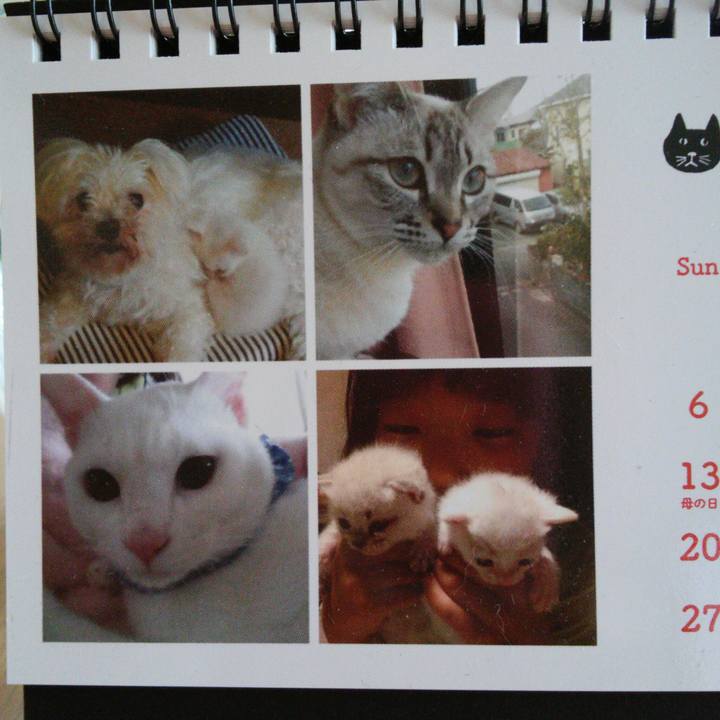 A730b005 3120 4ded 80ee ceeefb729a78 1525747927173