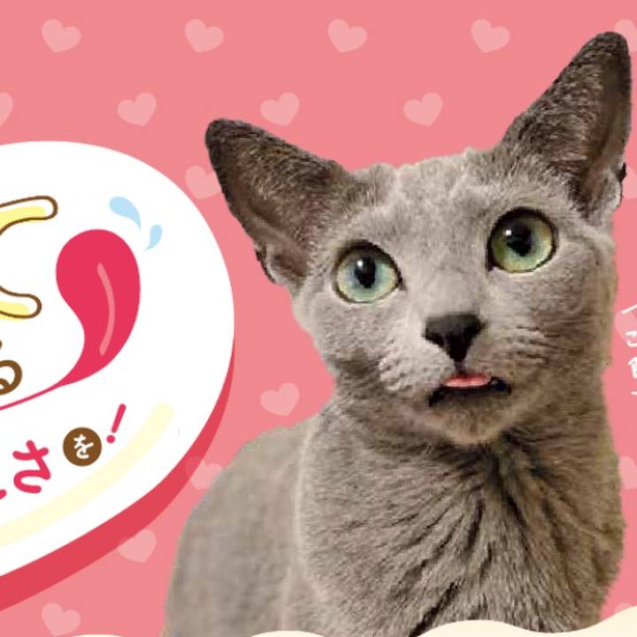 A730dca0 1d62 44b6 857b a822f7812c36 1651026423239