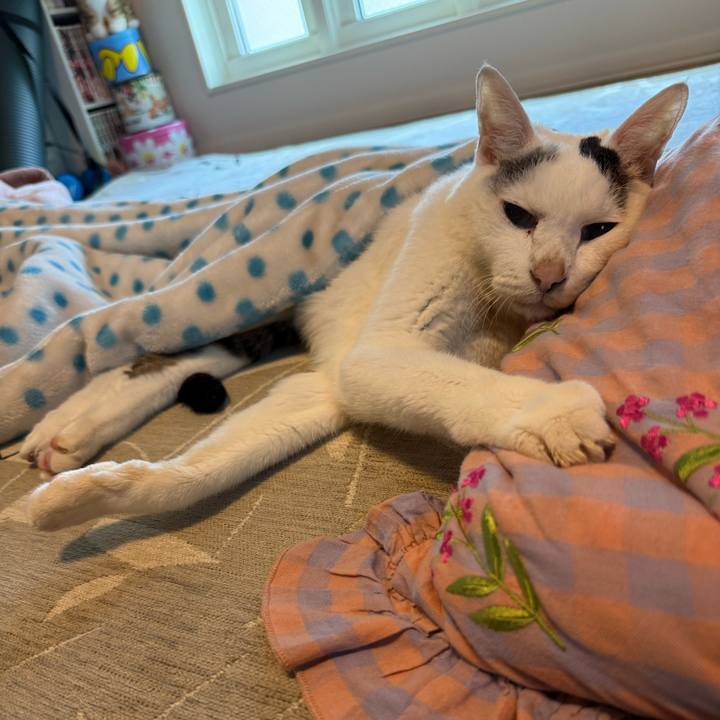 A7311ed8 da9f 43bc 8264 9f9de3d67762 1767315327213