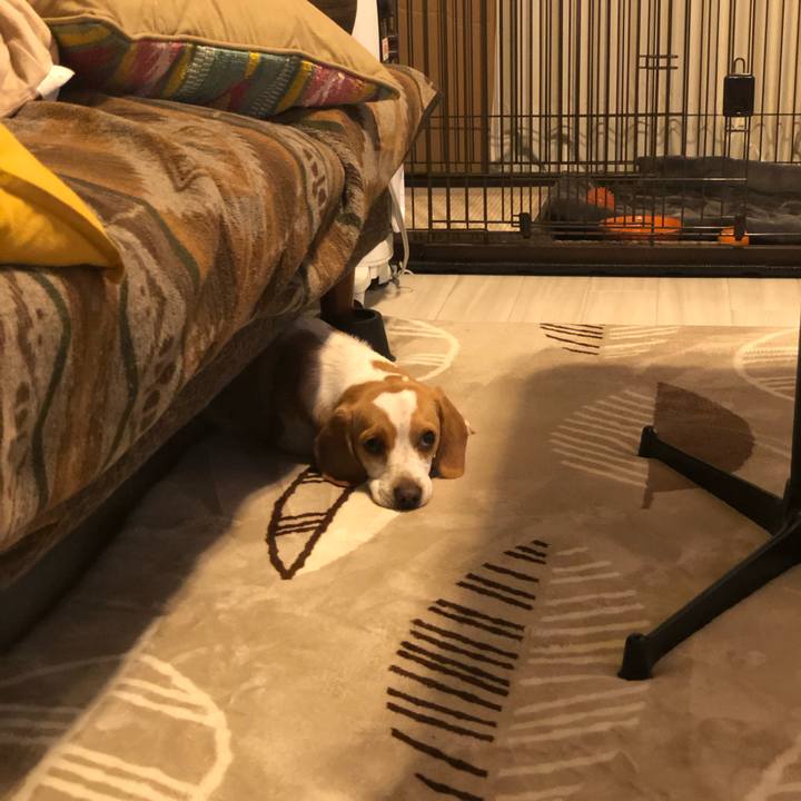 A7316844 1f82 4282 aa1b 1dd4d2322aec 1552311037469