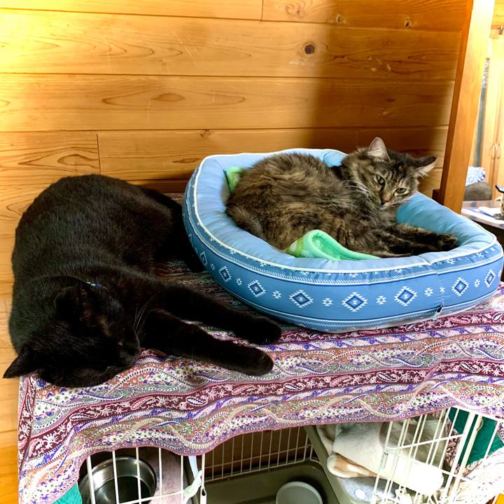 A7316e2b b748 478f a4e6 f363ecf1f6be 1655854866850