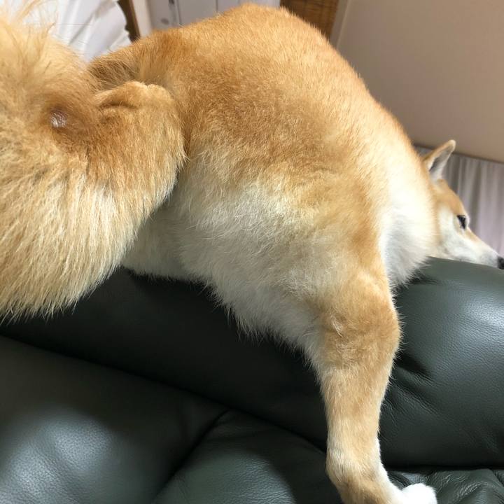 A7317ae0 4c1b 4120 888d 3b2734ae5306 1601610071512