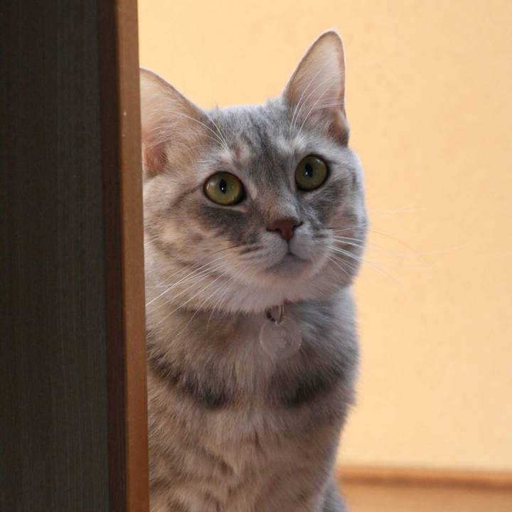 A731a984 dcb0 4d90 9bc1 5bf8c28dda5f 1527896280072