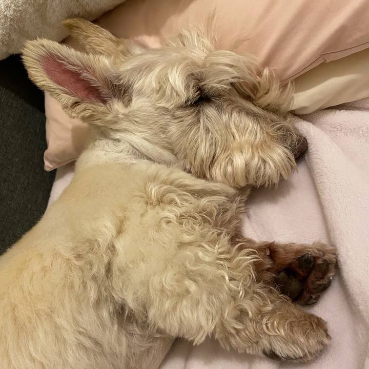 A731e930 a0d4 4fd7 9200 ed7d56109489 1620658013757