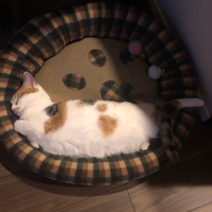 A73226c6 018f 4622 8362 bb474332af73 1586097339390