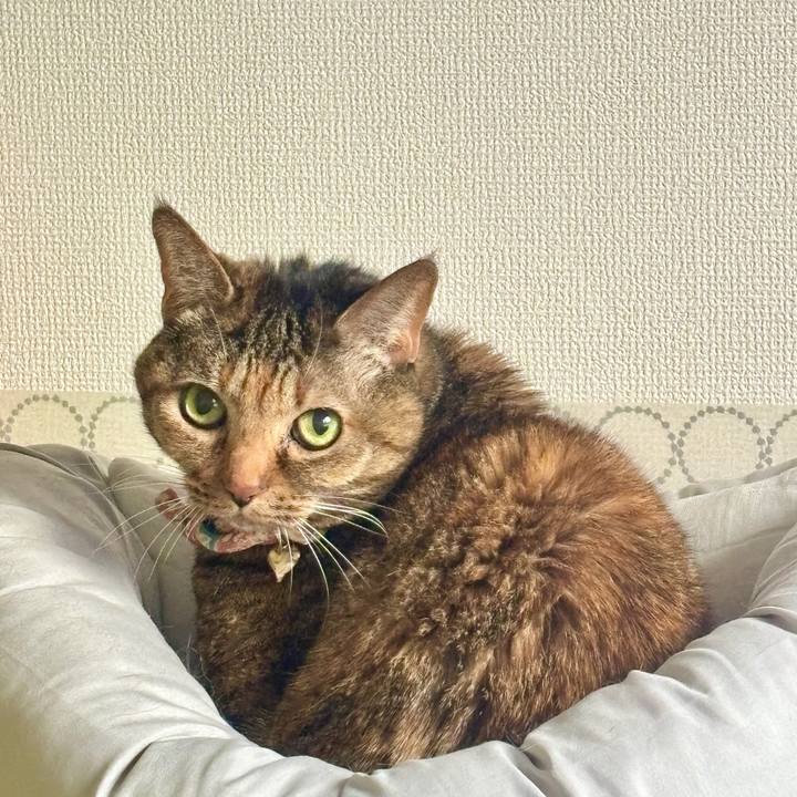 A7323ab3 9128 42ff 84b9 8b611ee7cd91 1769475020111