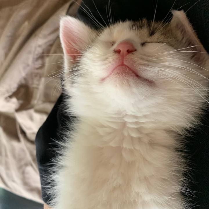 A7326569 9543 4cc4 bcbc 4d2748094f83 1590112101237