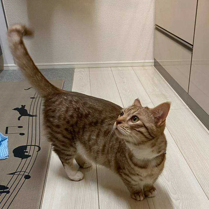 A73273cd 05cb 4ef1 968c d070e76a2e26 1628251347984