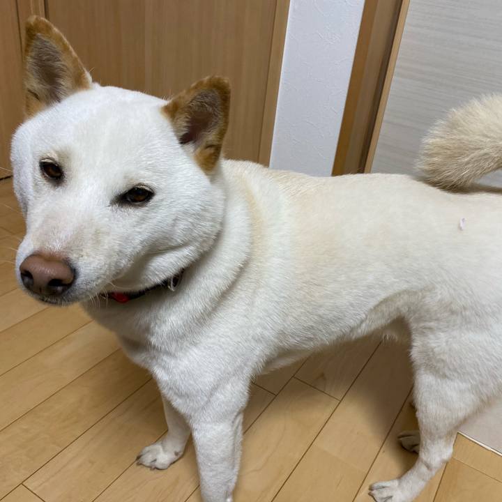 A732c2ee 3580 4616 af06 c838dfbef142 1585299625210