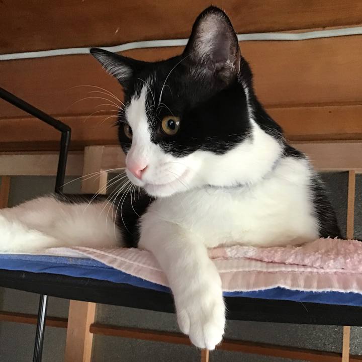 A7332414 71be 400a a344 3b0038d9c930 1636883492378