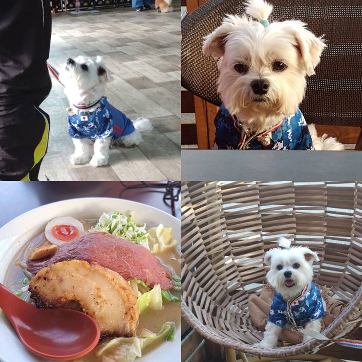 A7335f9b dd35 4cb7 b828 647204721c67 1700739278467