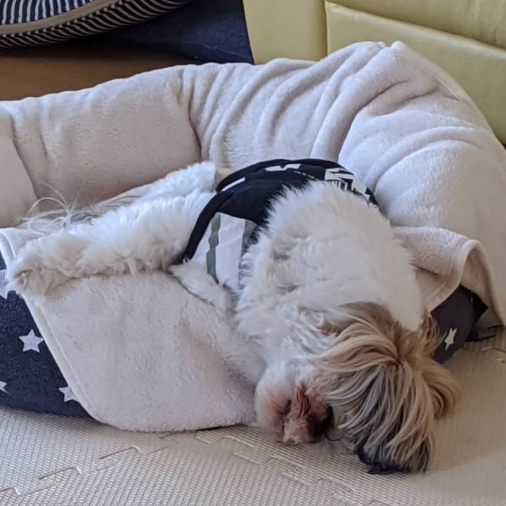 A7336437 22d3 4c77 b99e 260b9a7e19e5 1585983113800