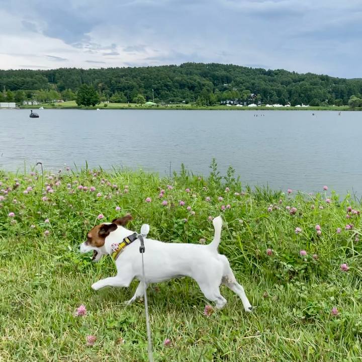 A733681e ed6e 4f3e a5b1 03b0fd7a302b 1657968509595