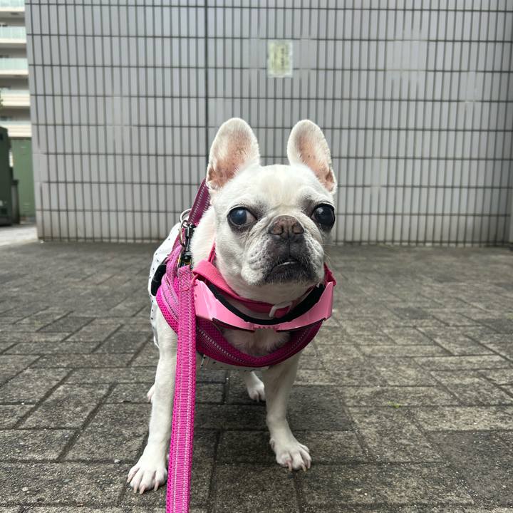 A7339073 4eb5 435d 97b1 647e3d521136 1749269756462