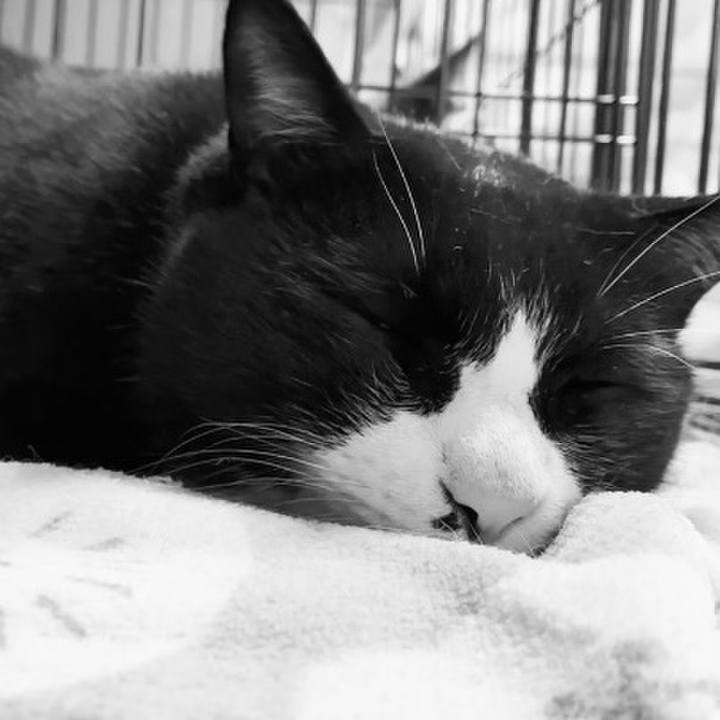 A73399bf 076c 42d8 9380 31643dc4ee52 1745660136301