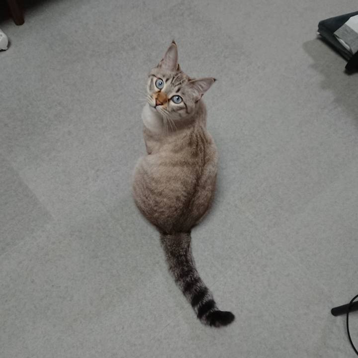 A7339e79 6444 4c0d 876b 6f5080a4d236 1575115849115