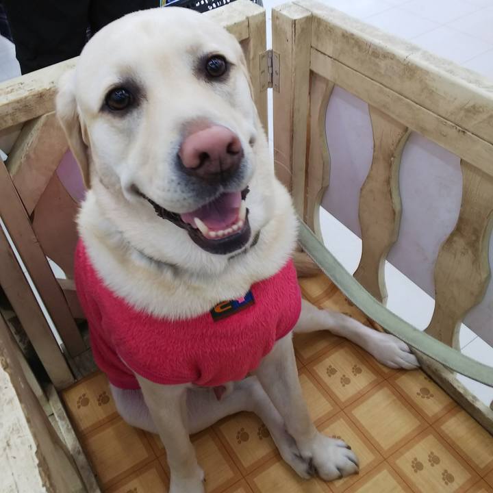 A733c463 a7b1 418a 9d9e 62fb91236fd1 1577615556056