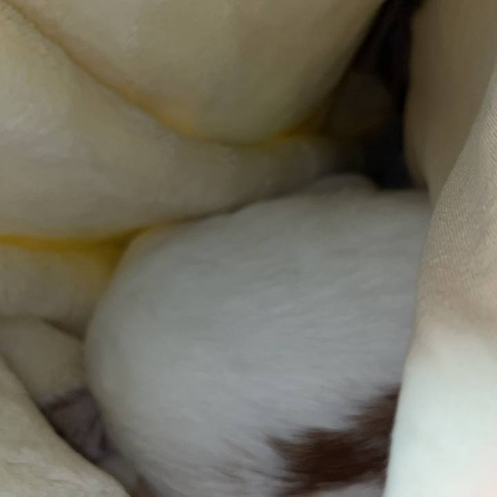 A733cace 5fe3 4a64 9b28 af06a88a2386 1761209919913