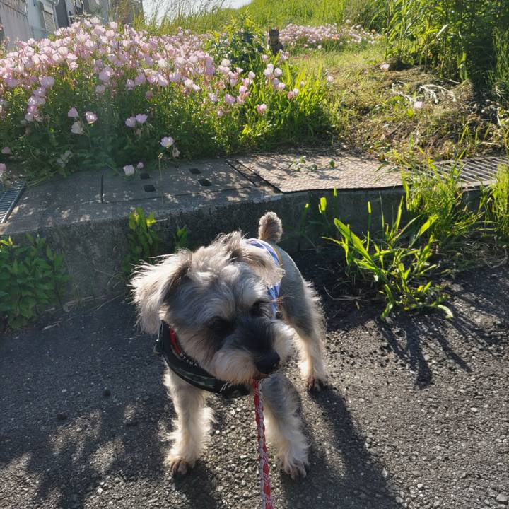 A733e1cb b2a8 4caf bedb 264c5b1fa0ad 1683084832382