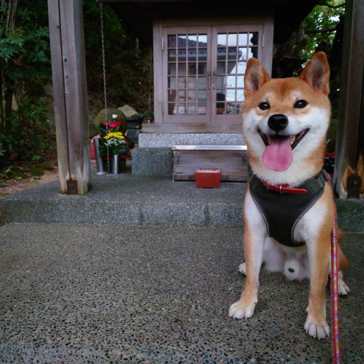 A733f4cd de2e 41a0 bbe8 78a13cac5298 1759103220741