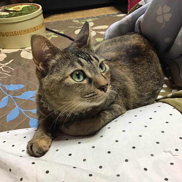 A73426fb 6484 4ce3 a600 90af7db913ba 1645312651743