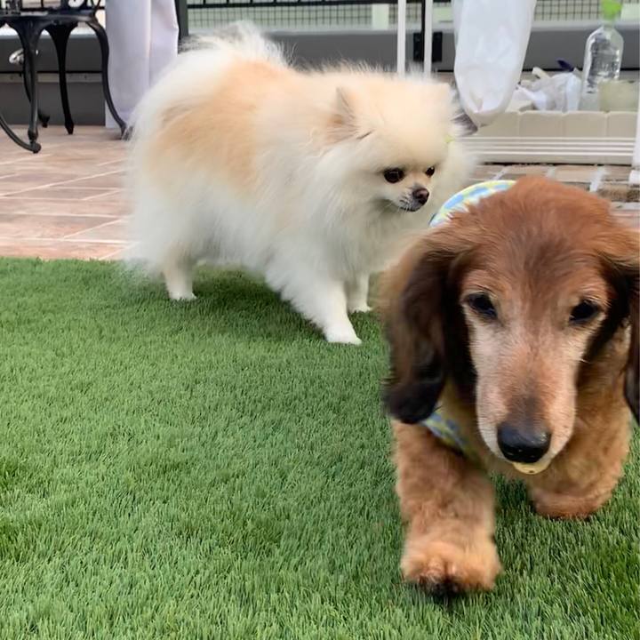 A734678d 4ed9 477d b475 5e21a89146fa 1570513244333