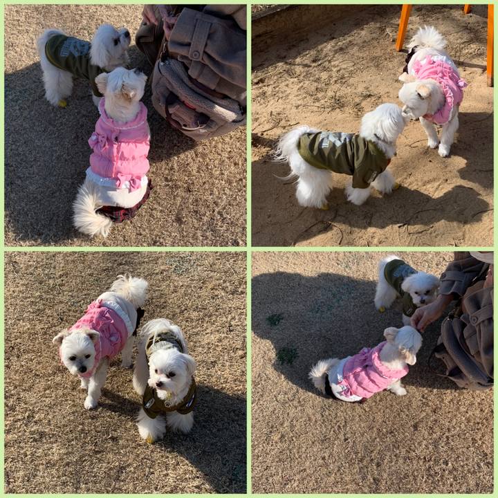 A7349eb4 ae41 4ab4 b062 b553531499a2 1614414381379