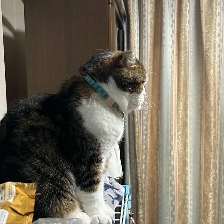 A734aaf7 bb24 44e6 9f87 cbbebd7962fc 1764883821555