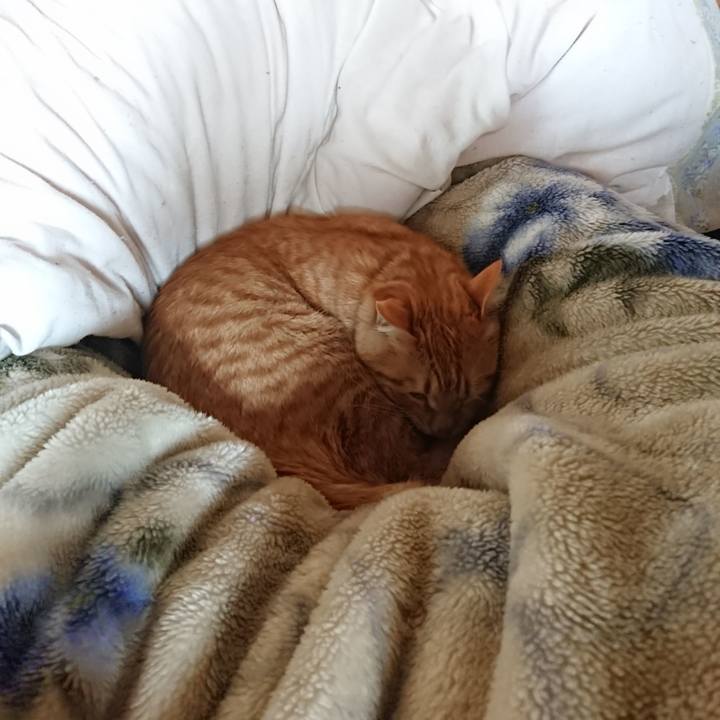 A734c6fd b060 4a1f a3e6 136377fb5876 1648612482860