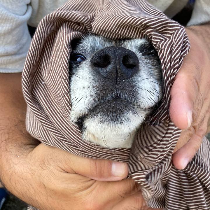 A734cbf6 5364 402a a38d 40585302afe2 1690066993645