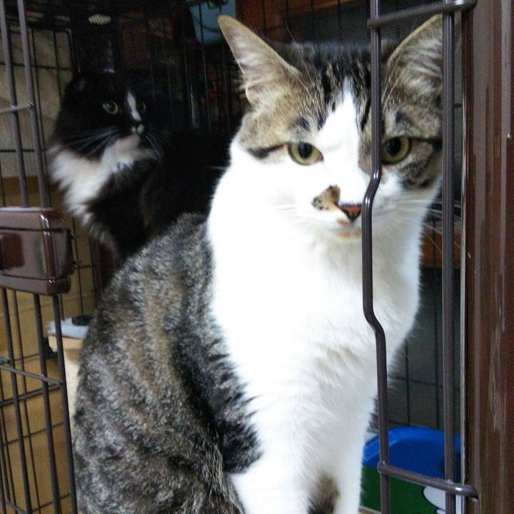 A734eba1 6ccb 42fa 8308 7eb307b22c6b 1652262115552