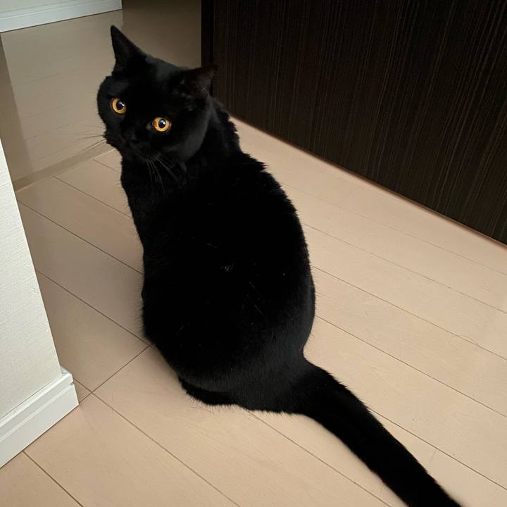 A73536fc e086 4c42 b2e3 c8bb538becbb 1713308626511