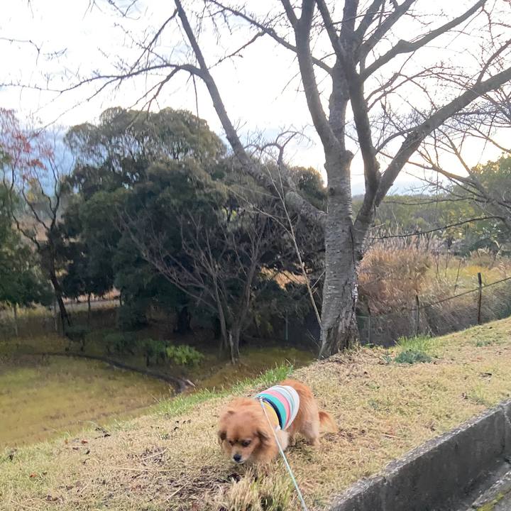 A7354426 75e2 4ee5 a9d7 55189777c098 1638568572993