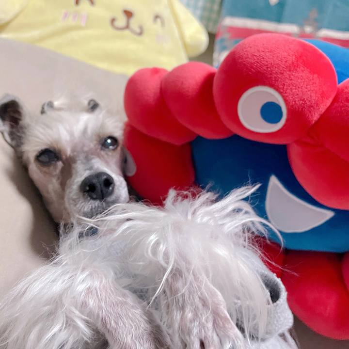 A73546bd 9ed2 4a3a 9fcf b63548cd46fe 1760340672886