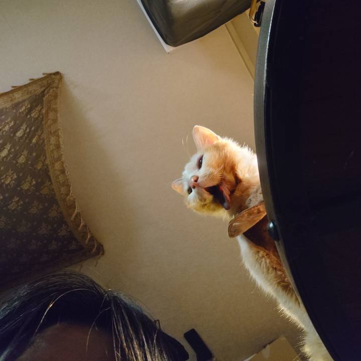 A7355f1c 04c5 4b51 b248 01afac2e3530 1764941343383