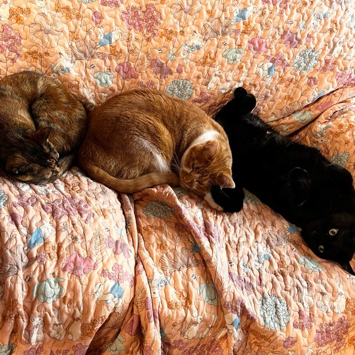 A7356831 ed24 41c8 882f 97942c5bac97 1719042137104