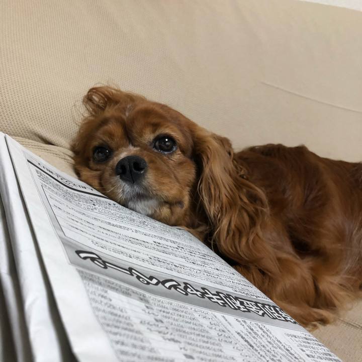 A7357bf3 a3a1 4218 a7e7 7c3f411cecf8 1621549184343