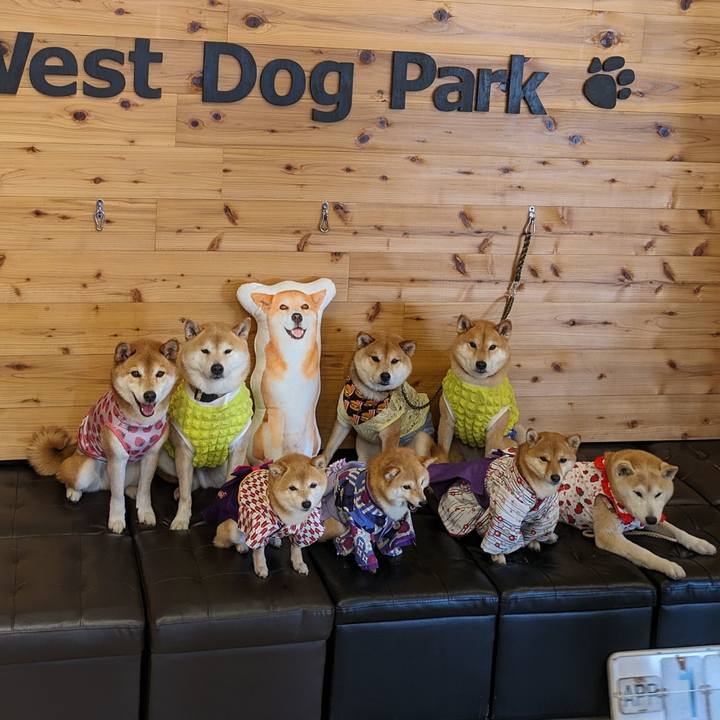 A73589aa cf11 474a b5f4 dacd33df13fd 1712920360180