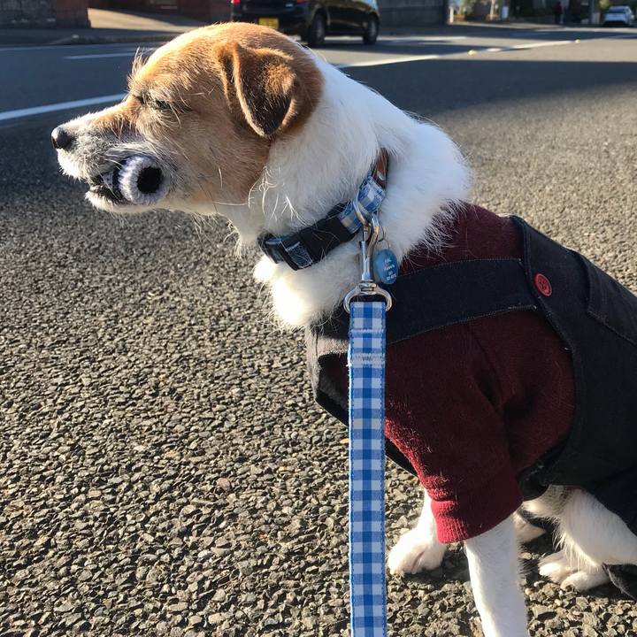 A735a1bd 5973 4f02 a44b dd0775669ea0 1514931709133