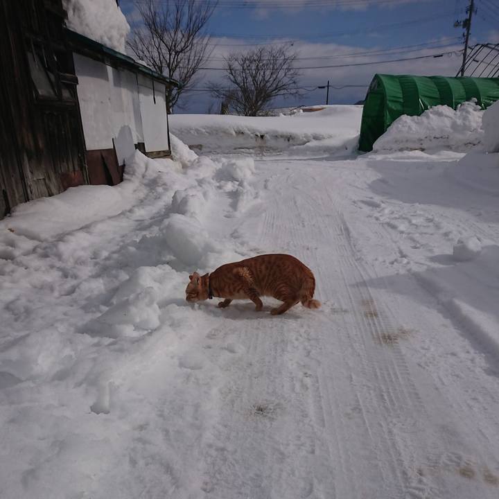 A735acc2 56e6 45f8 8419 e10826538f0b 1642995911453