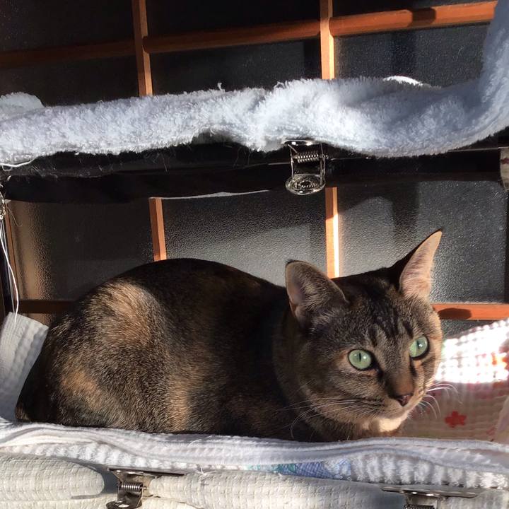 A735b70d dc82 4a11 9b98 f7bad6a06ea6 1643585783113