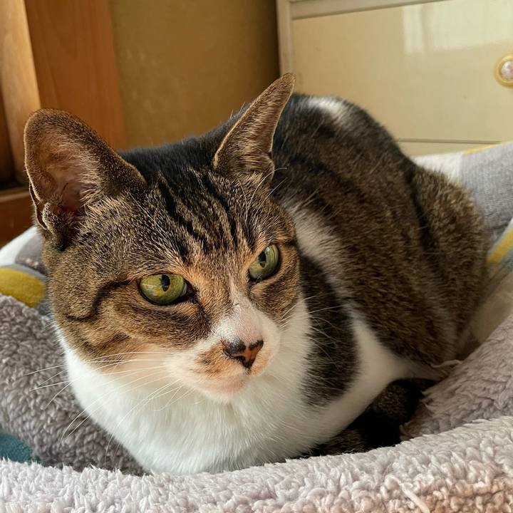 A735e257 9d14 45a0 9e77 e2764692e758 1612488951016