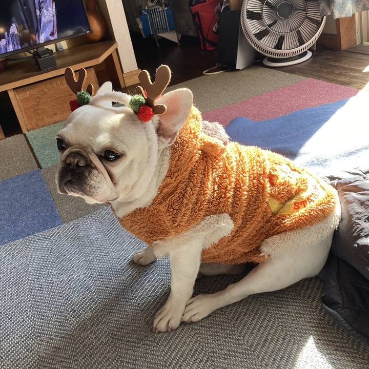 A735f0e5 54d0 4ccb afe8 312fa68303c0 1703286990498