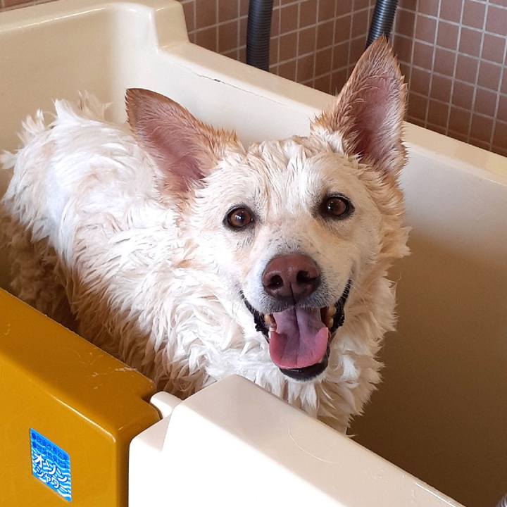 A7360749 3abe 422d beba f5a38177cc68 1644645652429