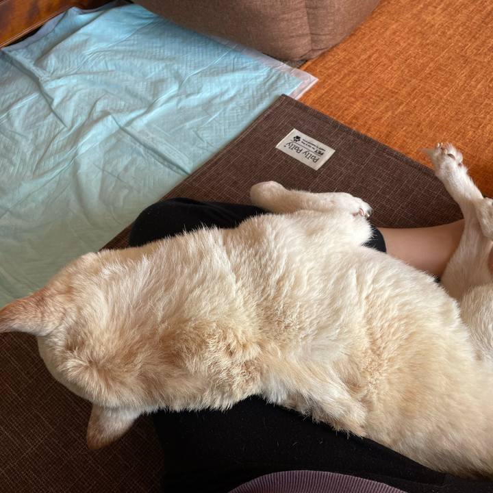 A7361cc4 cfd2 4ff7 8e9a 45e8586ae809 1668575096217