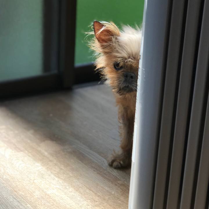 A7361ff0 abe8 4220 a6f2 0f086cf1acc9 1556497120380