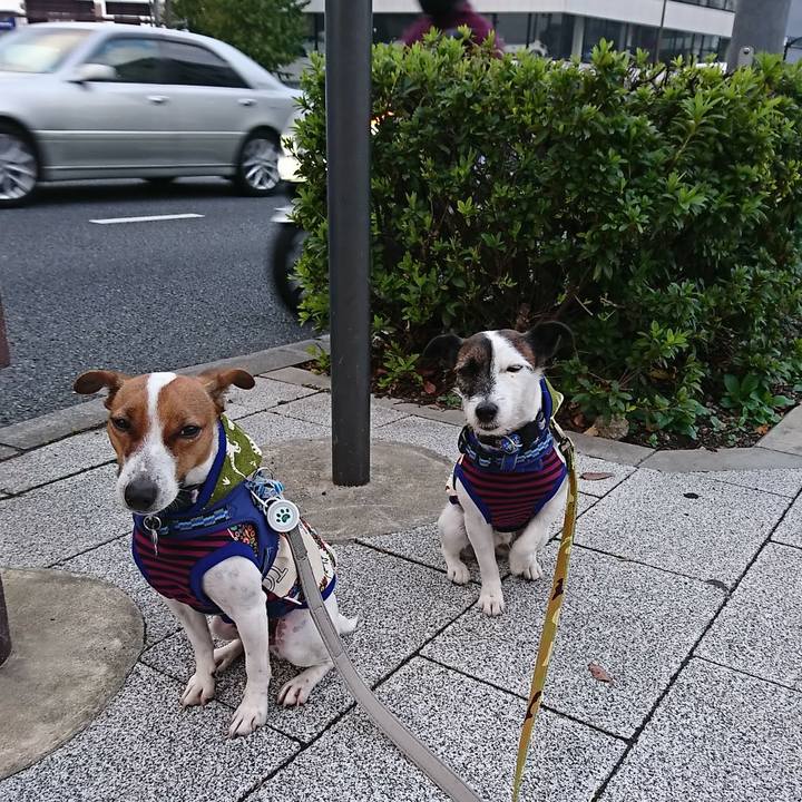 A7362a74 c112 4890 964a 359c895c4d07 1541973780741